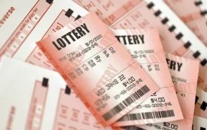 India Lottery Chetak