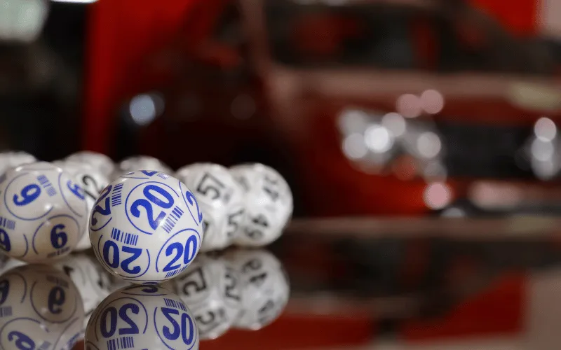 India Lottery Chetak